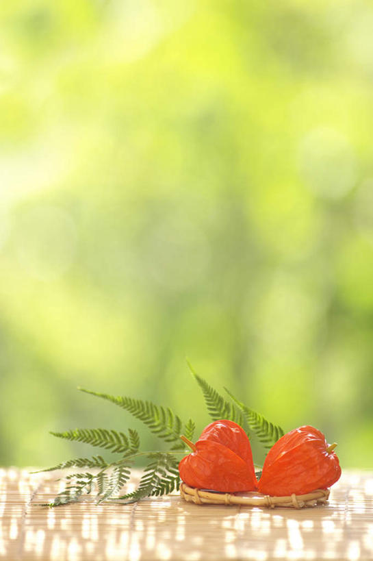 无人,竖图,俯视,室外,特写,白天,旅游,度假,草地,草坪,美景,植物,叶子,阴影,朦胧,模糊,盛开,光线,影子,景观,绿叶,花蕾,娱乐,草,花,花瓣,花朵,鲜花,树,树木,两朵,红色,绿色,阳光,自然,花苞,花蕊,享受,休闲,嫩叶,景色,放松,生长,成长,自然风光,白鹤花,白玉簪,玉春棒,玉簪花,宽和,恬静,叶,叶片,彩图,高角度拍摄