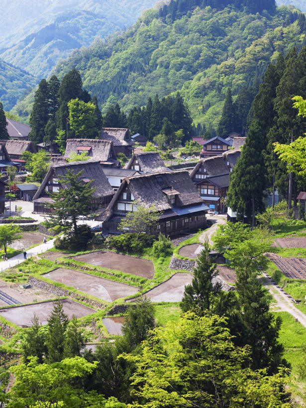无人,家,农田,竖图,俯视,室外,白天,旅游,度假,庄稼,农作物,草地,草坪,美景,山,山脉,植物,道路,路,静冈县,日本,亚洲,阴影,光线,影子,房屋,屋子,景观,山峰,小路,交通,山峦,娱乐,楼房,住宅,草,树,树木,绿色,阳光,自然,群山,享受,休闲,景色,放松,乡间小路,生长,成长,自然风光,东亚,本州,本州岛,日本国,中部地方,静冈,山梨,山梨县,彩图,高角度拍摄,耕地,庄稼田,房子