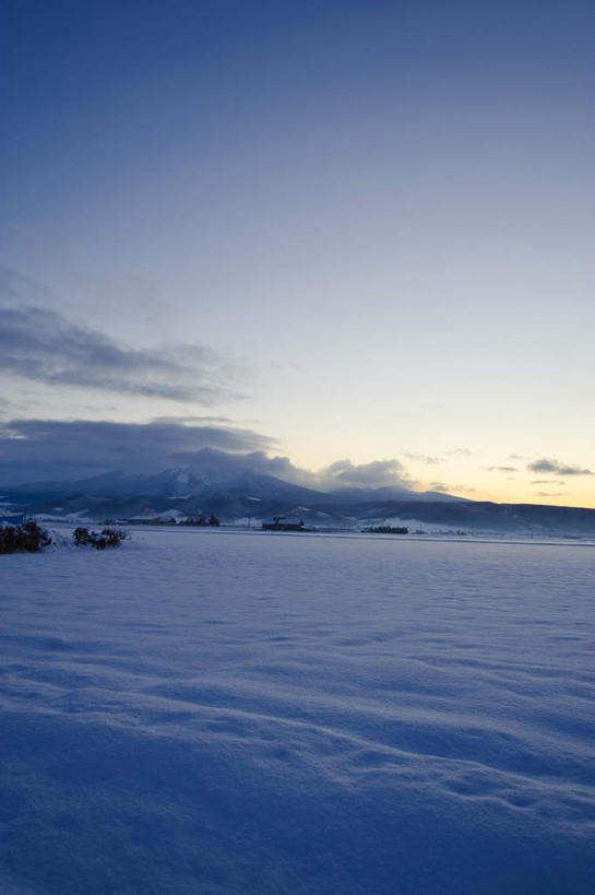 无人,农田,竖图,室外,白天,正面,旅游,度假,庄稼,农作物,美景,雪,植物,大雪,北海道,日本,亚洲,阴影,光线,影子,积雪,景观,雪景,云,云朵,冬季,冬天,云彩,娱乐,树,树木,蓝色,绿色,白云,蓝天,天空,阳光,自然,天,享受,休闲,景色,放松,寒冷,生长,成长,自然风光,东亚,日本国,北海道地方,北海道岛,严寒,彩图,耕地,庄稼田