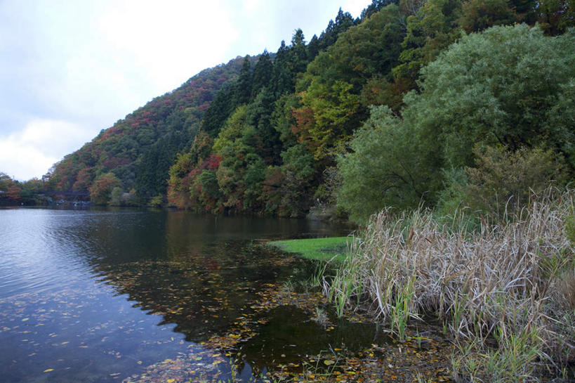 无人,横图,俯视,室外,白天,旅游,度假,草地,草坪,湖,湖泊,美景,山,山脉,水,植物,日本,亚洲,阴影,光线,影子,湖面,景观,山峰,水流,水面,云,云朵,山峦,云彩,娱乐,草,树,树木,蓝色,绿色,白云,蓝天,天空,阳光,自然,湖水,群山,天,享受,休闲,景色,放松,生长,成长,自然风光,东亚,本州,本州岛,日本国,中部地方,新潟,新潟县,彩图,高角度拍摄