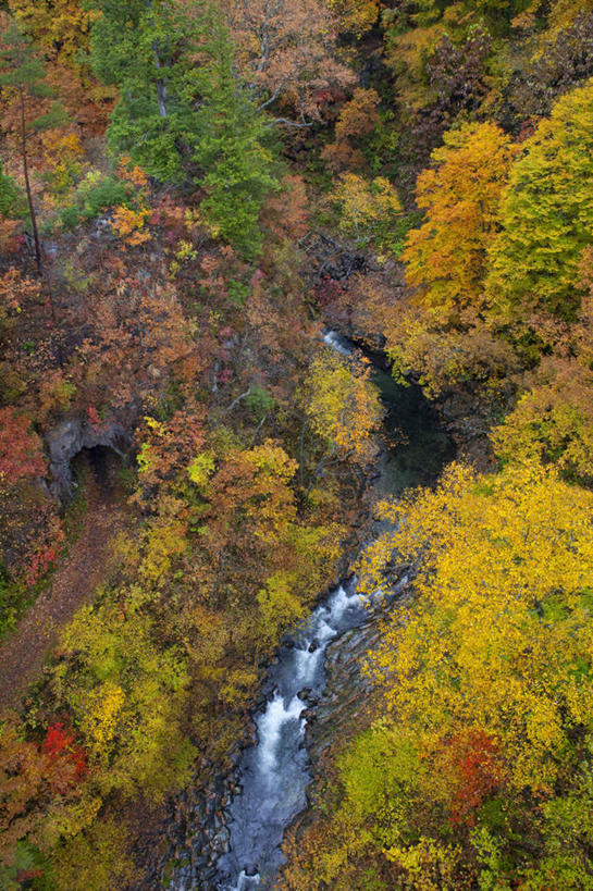 无人,竖图,俯视,室外,白天,旅游,度假,草地,草坪,河流,美景,水,植物,日本,亚洲,河水,景观,水流,娱乐,草,树,树木,绿色,小溪,自然,溪水,享受,休闲,景色,放松,流动,生长,成长,自然风光,东亚,本州,本州岛,日本国,中部地方,新潟,新潟县,彩图,高角度拍摄