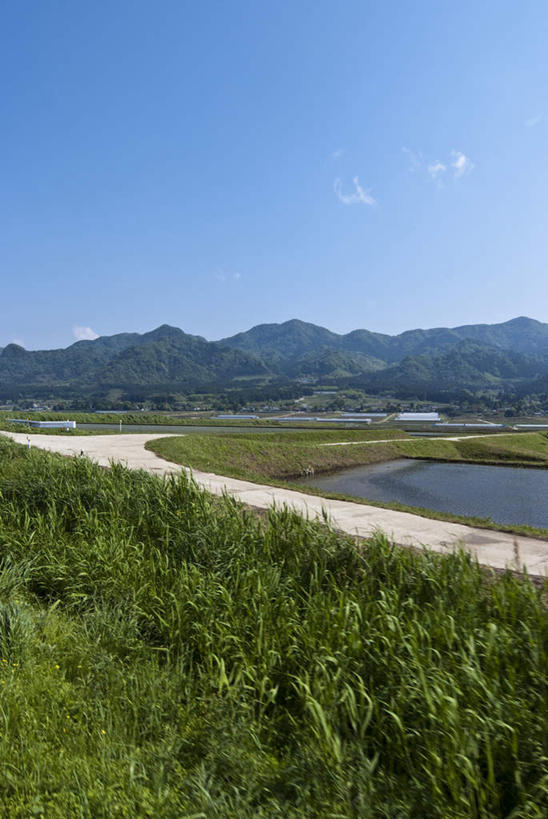 无人,竖图,俯视,室外,白天,旅游,度假,草地,草坪,湖,湖泊,美景,山,山脉,水,植物,道路,路,日本,亚洲,阴影,光线,影子,湖面,景观,山峰,水流,水面,云,云朵,小路,交通,山峦,云彩,娱乐,草,树,树木,蓝色,绿色,白云,蓝天,天空,阳光,自然,湖水,群山,天,享受,休闲,景色,放松,乡间小路,生长,成长,自然风光,东亚,日本国,九州本岛,九州,九州岛,九州地方,熊本,熊本县,彩图,高角度拍摄