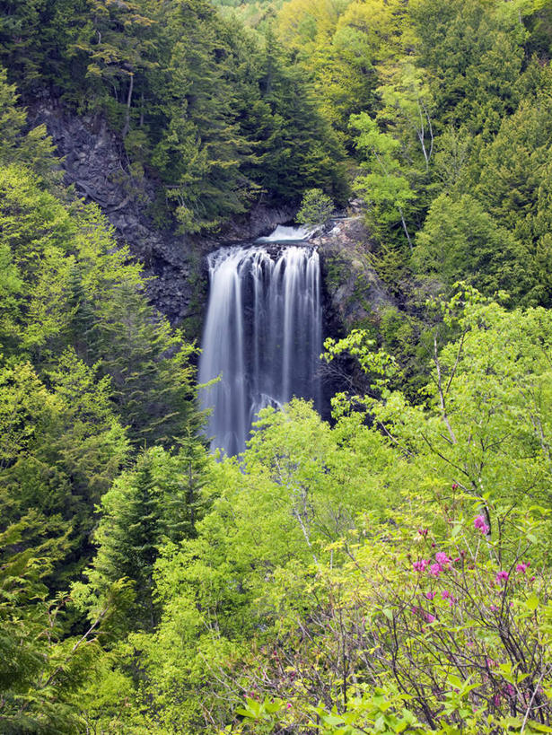 无人,竖图,室外,白天,正面,旅游,度假,草地,草坪,石头,美景,瀑布,水,植物,长野县,日本,亚洲,阴影,飞溅,溅,光线,石子,液体,影子,景观,水滴,娱乐,水珠,草,树,树木,绿色,阳光,自然,享受,休闲,景色,放松,生长,成长,喷洒,自然风光,东亚,本州,本州岛,日本国,中部地方,长野,跌水,石块,岩石,彩图