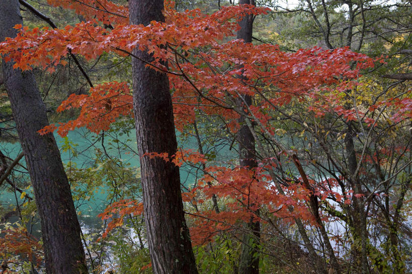无人,横图,俯视,室外,白天,旅游,度假,草地,草坪,湖,湖泊,美景,水,植物,日本,亚洲,阴影,光线,影子,湖面,景观,水流,水面,娱乐,草,树,树木,红色,蓝色,绿色,蓝天,天空,阳光,自然,湖水,天,享受,休闲,景色,放松,生长,成长,自然风光,东亚,本州,本州岛,日本国,东北地方,福岛,福岛县,彩图,高角度拍摄