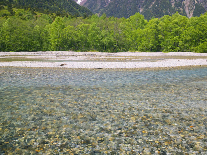无人,横图,室外,白天,正面,旅游,度假,草地,草坪,河流,石头,美景,山,山脉,水,植物,长野县,日本,亚洲,阴影,光线,石子,影子,河水,景观,山峰,水流,山峦,娱乐,草,树,树木,绿色,阳光,自然,群山,享受,休闲,景色,放松,生长,成长,自然风光,东亚,本州,本州岛,日本国,中部地方,长野,石块,彩图