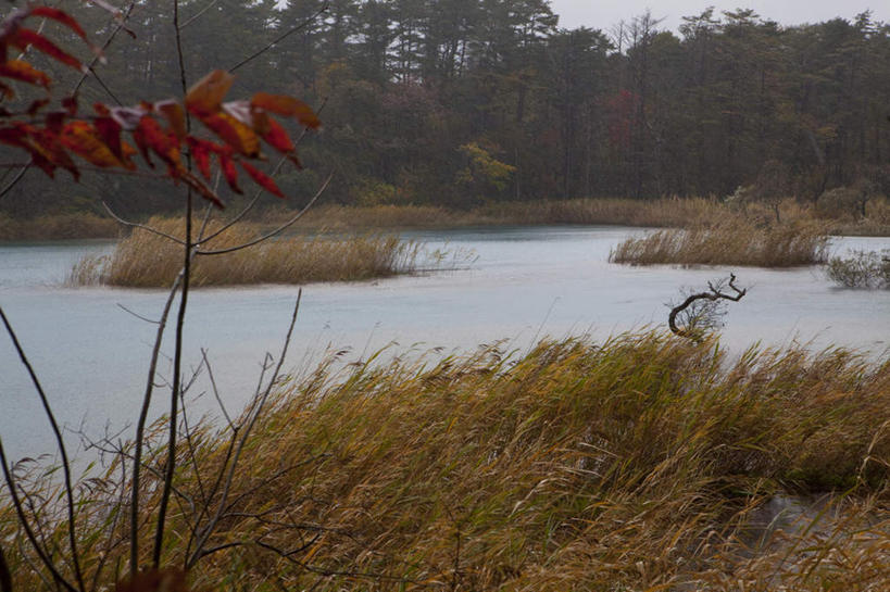无人,横图,俯视,室外,白天,旅游,度假,草地,草坪,河流,美景,水,植物,日本,亚洲,阴影,波纹,光线,影子,河水,景观,水流,娱乐,草,树,树木,绿色,水纹,阳光,自然,波浪,享受,休闲,景色,放松,生长,成长,自然风光,东亚,本州,本州岛,日本国,东北地方,福岛,福岛县,彩图,高角度拍摄