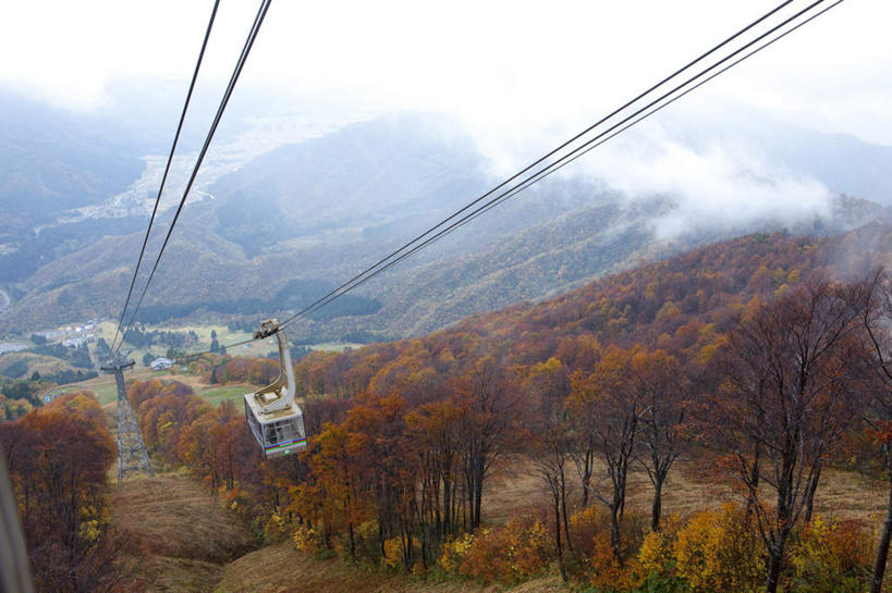 无人,横图,俯视,室外,白天,旅游,度假,草地,草坪,美景,山,山脉,植物,雾,日本,亚洲,一辆,阴影,朦胧,模糊,光线,影子,景观,山峰,云,云朵,山峦,云彩,娱乐,缆车,草,树,树木,蓝色,绿色,白云,蓝天,天空,阳光,自然,绳子,群山,天,驾驶,行驶,享受,休闲,景色,放松,生长,成长,绳索,操纵,迷雾,控制,自然风光,缆绳,东亚,操控,本州,本州岛,日本国,中部地方,新潟,新潟县,把持,大雾,彩图,高角度拍摄