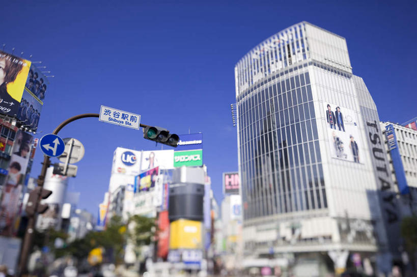 无人,高楼大厦,商店,横图,室外,白天,仰视,购物,度假,安全,消费,草地,草坪,美景,植物,城市风光,超市,城市,大厦,道路,建筑,路,路灯,摩天大楼,指示牌,公路,照明,东京,日本,亚洲,阴影,光线,标志,文字,影子,景观,红绿灯,灯光,信号灯,交通,娱乐,标识,灯,草,树,树木,蓝色,绿色,蓝天,天空,阳光,自然,天,享受,休闲,景色,放松,警示,金融,百货,生长,晴朗,成长,照亮,照明设备,提示,流通,选购,贸易,百货公司,东亚,交通信号灯,本州,万里无云,行人信号灯,关东地方,本州岛,日本国,东京都,血拼,晴空,晴空万里,马路,彩图,低角度拍摄,大楼,高层建筑,高楼,购物商场,购物中心,摩天楼,商业中心