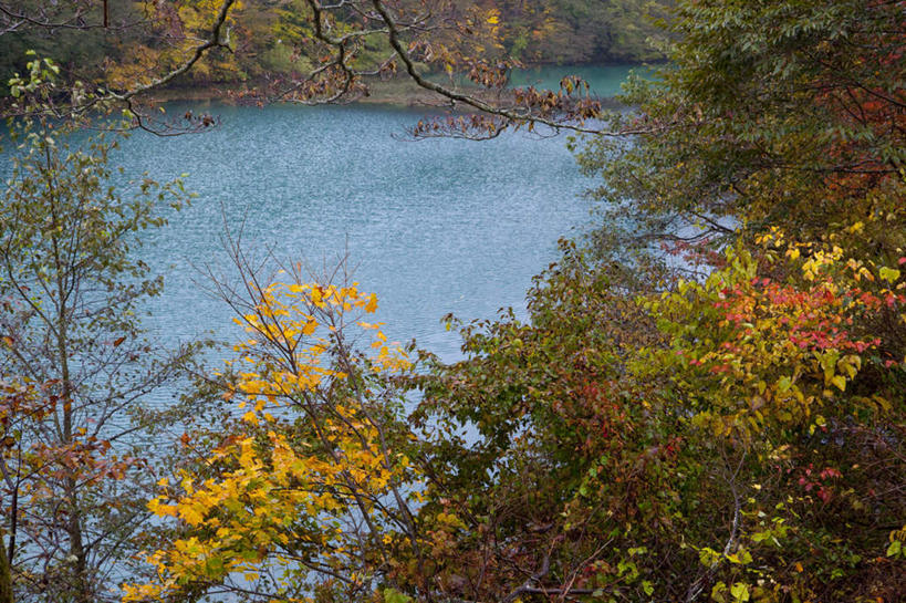 无人,横图,俯视,室外,白天,旅游,度假,草地,草坪,湖,湖泊,美景,水,植物,日本,亚洲,阴影,波纹,光线,影子,湖面,景观,水流,水面,娱乐,草,树,树木,绿色,水纹,阳光,自然,波浪,湖水,享受,休闲,景色,放松,生长,成长,自然风光,东亚,本州,本州岛,日本国,东北地方,福岛,福岛县,彩图,高角度拍摄