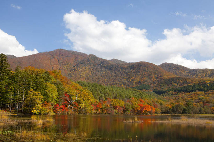 无人,横图,室外,白天,正面,旅游,度假,草地,草坪,湖,湖泊,美景,山,山脉,水,植物,日本,亚洲,阴影,波纹,光线,影子,湖面,景观,山峰,水流,水面,云,云朵,山峦,云彩,娱乐,草,树,树木,蓝色,绿色,白云,蓝天,水纹,天空,阳光,自然,波浪,湖水,群山,天,享受,休闲,景色,放松,生长,成长,自然风光,东亚,本州,本州岛,日本国,东北地方,福岛,福岛县,彩图