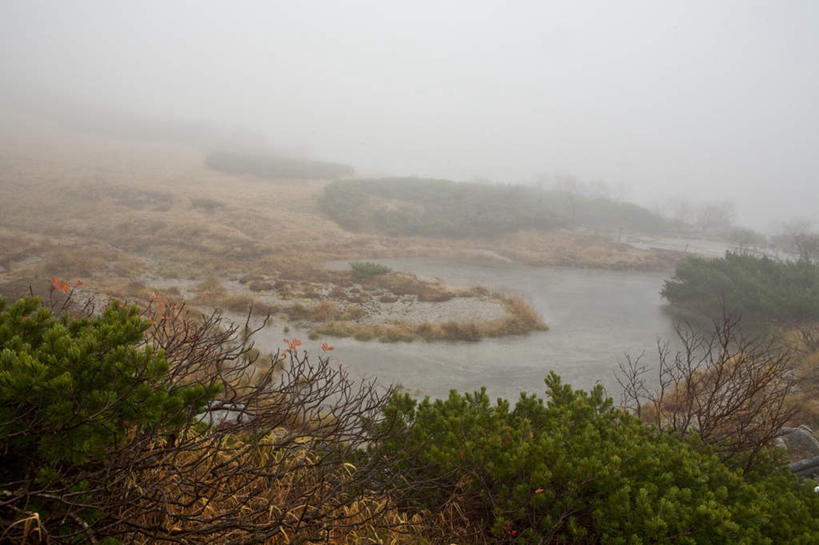 无人,农田,横图,俯视,室外,白天,旅游,度假,庄稼,农作物,草地,草坪,河流,美景,山,山脉,水,植物,雾,长野县,日本,亚洲,阴影,波纹,朦胧,模糊,光线,影子,河水,景观,山峰,水流,山峦,娱乐,草,树,树木,绿色,水纹,阳光,自然,波浪,群山,享受,休闲,景色,放松,生长,成长,迷雾,自然风光,东亚,本州,本州岛,日本国,中部地方,长野,大雾,彩图,高角度拍摄,耕地,庄稼田