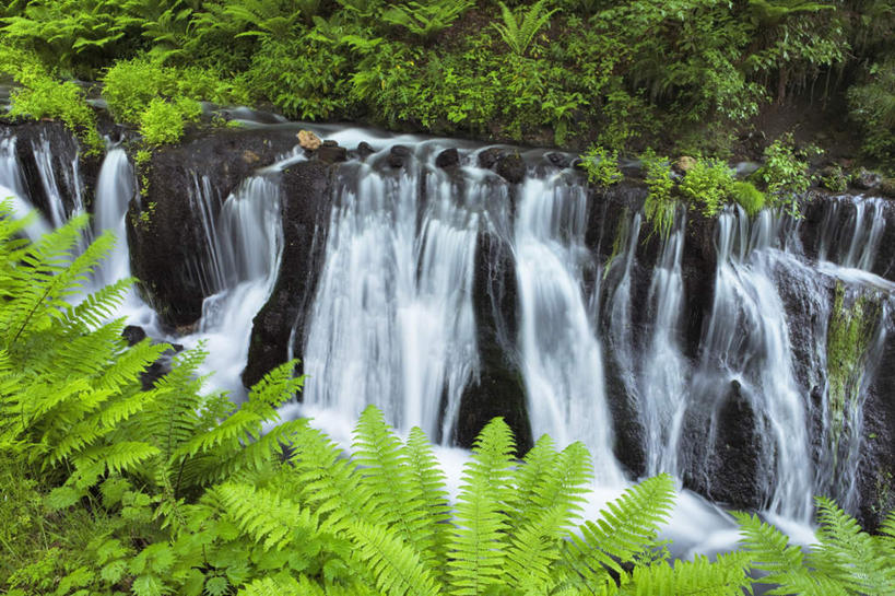 无人,横图,俯视,室外,白天,旅游,度假,草地,草坪,礁石,石头,美景,瀑布,水,植物,长野县,日本,亚洲,阴影,波纹,飞溅,溅,光线,石子,液体,影子,景观,水滴,娱乐,水珠,草,树,树木,绿色,水纹,阳光,自然,波浪,享受,休闲,景色,放松,生长,成长,喷洒,自然风光,东亚,本州,本州岛,日本国,中部地方,长野,跌水,礁,石块,岩石,彩图,高角度拍摄