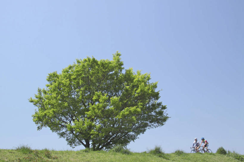 东方人,两个人,伙伴,朋友,坐,横图,室外,白天,侧面,锻炼,旅游,度假,友谊,运动,草地,草坪,植物,自行车,亚洲,弯腰,握,阴影,光线,影子,注视,黄种人,娱乐,车,脚踏车,草,树,树木,骑,蓝色,绿色,蓝天,天空,阳光,自然,交通工具,天,观察,看,享受,休闲,放松,握着,生长,晴朗,成长,观看,察看,关注,载具,室外运动,户外运动,万里无云,弯身,友情,男人,男性,年轻男性,亚洲人,晴空,晴空万里,坐着,彩图,全身,健身