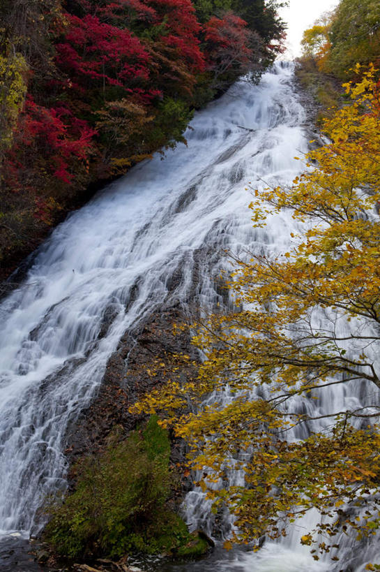 无人,竖图,俯视,室外,白天,旅游,度假,草地,草坪,河流,美景,森林,树林,水,植物,叶子,日本,亚洲,波纹,飞溅,溅,液体,河水,景观,水滴,水流,枫叶,枯叶,落叶,娱乐,水珠,草,树,树木,黄色,红色,绿色,水纹,小溪,自然,波浪,溪水,享受,休闲,景色,放松,生长,成长,枫树叶,喷洒,自然风光,东亚,本州,关东地方,本州岛,日本国,栃木,栃木县,叶,叶片,彩图,高角度拍摄