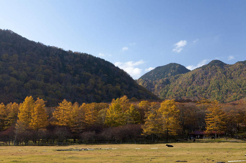 无人,横图,室外,白天,正面,旅游,度假,草地,草坪,美景,山,山脉,植物,日本,亚洲,阴影,光线,影子,景观,山峰,云,云朵,山峦,云彩,娱乐,草,树,树木,蓝色,绿色,白云,蓝天,天空,阳光,自然,群山,天,享受,休闲,景色,放松,生长,成长,自然风光,东亚,本州,关东地方,本州岛,日本国,栃木,栃木县,彩图