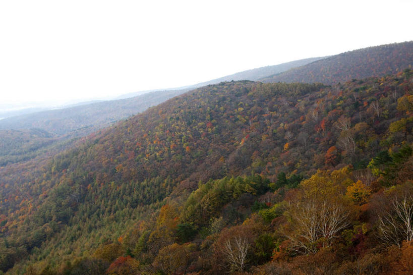 无人,横图,俯视,室外,白天,旅游,度假,草地,草坪,美景,山,山脉,植物,雾,日本,亚洲,阴影,朦胧,模糊,光线,影子,景观,山峰,云,云朵,山峦,云彩,娱乐,草,树,树木,蓝色,绿色,白云,蓝天,天空,阳光,自然,群山,天,享受,休闲,景色,放松,生长,成长,迷雾,自然风光,东亚,本州,本州岛,日本国,东北地方,福岛,福岛县,大雾,彩图,高角度拍摄