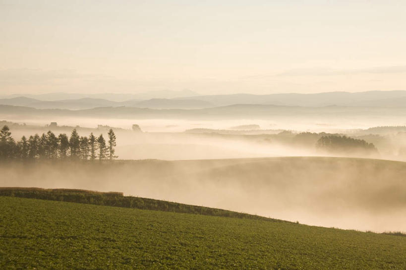 无人,农田,横图,俯视,室外,白天,旅游,度假,庄稼,农作物,草地,草坪,美景,山,山脉,植物,雾,北海道,日本,亚洲,阴影,朦胧,模糊,光线,影子,景观,山峰,云,云朵,山峦,云彩,娱乐,草,树,树木,蓝色,绿色,白云,蓝天,天空,阳光,自然,群山,天,享受,休闲,景色,放松,生长,成长,迷雾,自然风光,东亚,日本国,北海道地方,北海道岛,大雾,彩图,高角度拍摄,耕地,庄稼田