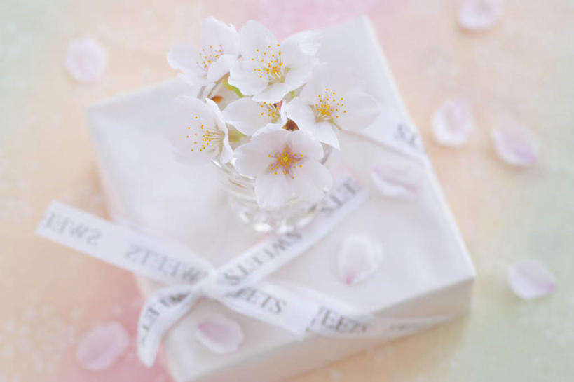 无人,横图,俯视,室内,特写,白天,桌面,樱花,礼盒,礼物,许多,阴影,盛开,光线,英文,标志,文字,影子,纸盒,字符,字母,花蕾,标识,盒子,花,花瓣,花朵,鲜花,一个,粉色,阳光,包装盒,礼品盒,花苞,花蕊,摄影,礼品,影棚,单个,英文字母,仙樱花,福岛樱,青肤樱,荆桃,彩图,高角度拍摄,影棚拍摄,拍摄