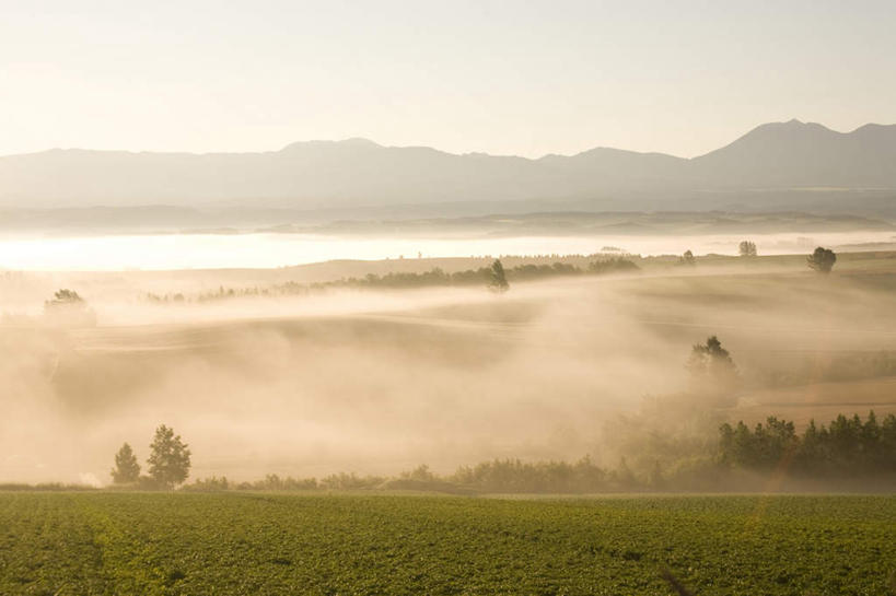 无人,农田,横图,俯视,室外,白天,旅游,度假,庄稼,农作物,草地,草坪,美景,山,山脉,植物,雾,北海道,日本,亚洲,阴影,朦胧,模糊,光线,影子,景观,山峰,云,云朵,山峦,云彩,娱乐,草,树,树木,蓝色,绿色,白云,蓝天,天空,阳光,自然,群山,天,享受,休闲,景色,放松,生长,成长,迷雾,自然风光,东亚,日本国,北海道地方,北海道岛,大雾,彩图,高角度拍摄,耕地,庄稼田