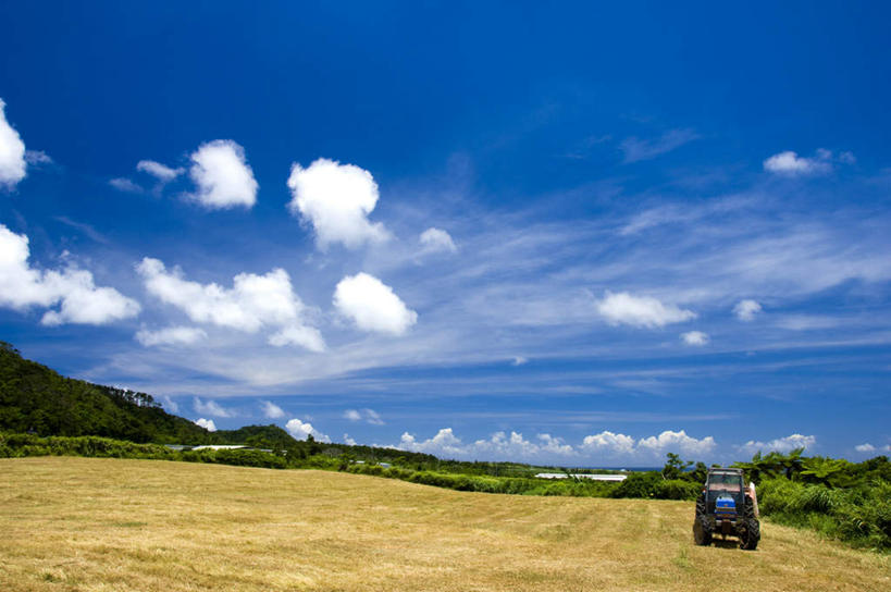 无人,农田,横图,俯视,室外,白天,旅游,度假,农业,庄稼,农作物,小麦,草地,草坪,美景,植物,汽车,日本,亚洲,一辆,阴影,光线,影子,景观,云,云朵,谷物,云彩,娱乐,冲绳,车,草,树,树木,蓝色,绿色,白云,蓝天,天空,阳光,自然,交通工具,天,享受,休闲,机械,稻谷,稻子,景色,放松,麦子,生长,成长,冲绳县,自然风光,载具,拖拉机,东亚,琉球群岛,日本国,九州地方,交通运输,农用机械,彩图,高角度拍摄,耕地,庄稼田