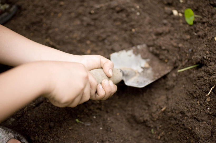 东方人,儿童,手,一个人,农田,摸,横图,俯视,室外,特写,白天,纯洁,庄稼,农作物,叶子,亚洲,仅一个男性,仅一个人,一把,一片,抚摸,握,朦胧,模糊,铲子,泥土,土壤,褐色,绿叶,拿,铲,拿着,黄种人,小孩,仅一个小孩,手部,嫩叶,可爱,童年,童趣,握着,童真,烂漫,无邪,天真,男孩,男人,男性,亚洲人,孩子,叶,叶片,触摸,接触,半身,彩图,高角度拍摄,耕地,庄稼田,男生