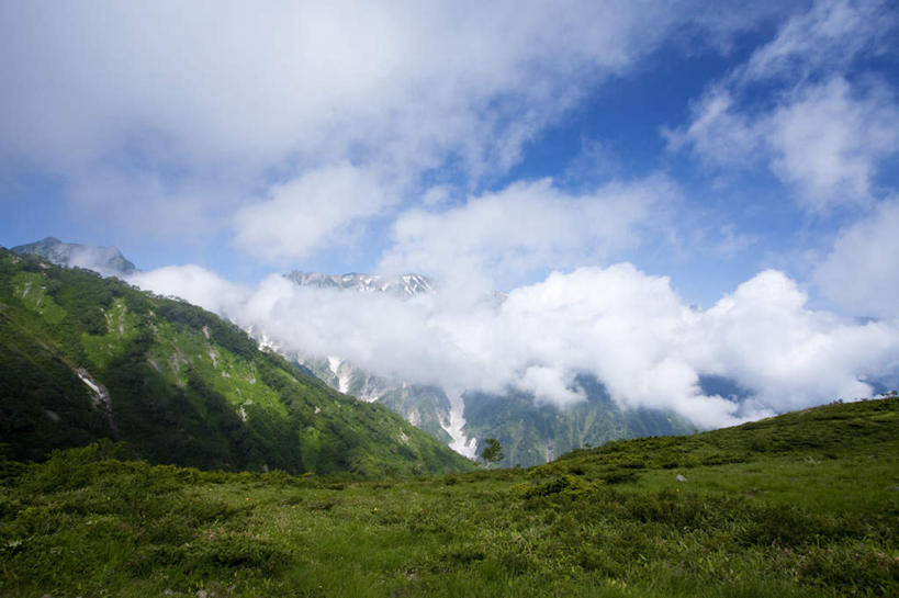 无人,横图,室外,白天,正面,旅游,度假,草地,草坪,美景,山,山脉,植物,长野县,日本,亚洲,阴影,光线,影子,景观,山峰,云,云朵,山峦,云彩,娱乐,草,树,树木,蓝色,绿色,白云,蓝天,天空,阳光,自然,群山,天,享受,休闲,景色,放松,生长,成长,自然风光,东亚,本州,本州岛,日本国,中部地方,长野,彩图