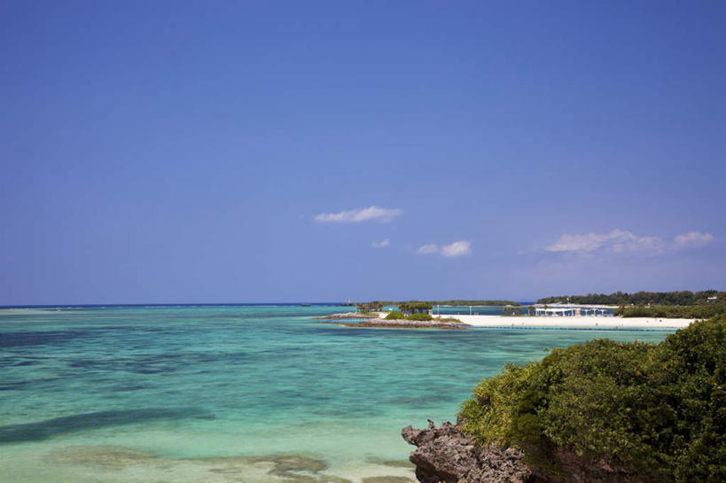 无人,横图,室外,白天,正面,旅游,度假,海浪,海洋,美景,沙滩,树林,植物,日本,亚洲,许多,沙子,海岸,景观,浪花,沙地,千叶县,娱乐,树,树木,蓝色,绿色,蓝天,天空,自然,海水,天,享受,休闲,景色,放松,生长,晴朗,成长,自然风光,海景,东亚,本州,万里无云,关东地方,本州岛,日本国,千叶,大海,风浪,海,海水的波动,海滩,近岸浪,涌浪,晴空,晴空万里,彩图