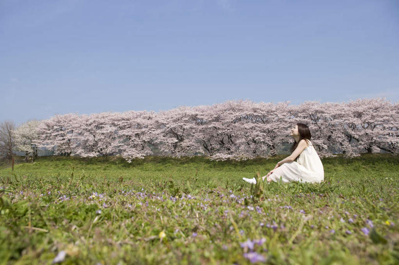 东方人,一个人,坐,笑,微笑,露齿笑,横图,室外,白天,侧面,裙子,旅游,度假,草地,草坪,美景,树林,植物,道路,路,樱花,叶子,亚洲,仅一个年轻女性,仅一个女性,仅一个人,许多,阴影,连衣裙,光线,影子,景观,小路,交通,注视,黄种人,娱乐,草,树,树木,蓝色,绿色,白色,蓝天,天空,阳光,自然,天,观察,看,享受,休闲,景色,放松,乡间小路,生长,晴朗,成长,观看,察看,关注,自然风光,万里无云,仙樱花,福岛樱,青肤樱,年轻女性,女人,女性,亚洲人,叶,晴空,晴空万里,荆桃,抬头,仰头,坐着,彩图,全身