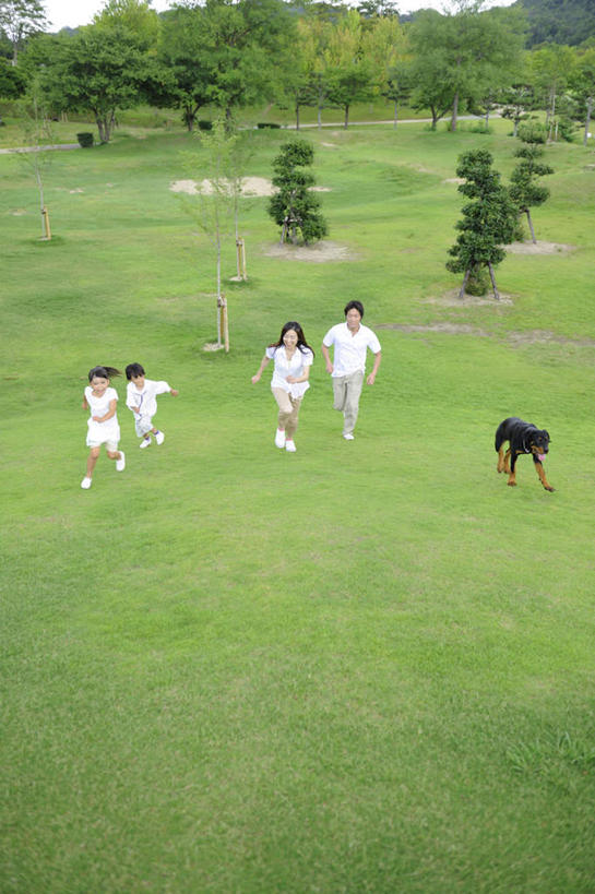 东方人,儿童,家庭,夫妻,母亲,父亲,女儿,跑,笑,微笑,露齿笑,竖图,俯视,室外,白天,爱情,锻炼,纯洁,运动,草地,草坪,植物,宠物,狗,亚洲,浪漫,黄种人,草,小孩,绿色,动物,温暖,温馨,父女,母女,一家人,恩爱,父爱,可爱,母爱,童年,童趣,恋人,和睦,童真,烂漫,无邪,忠诚,体育,天真,男人,男性,年轻男性,年轻女性,女孩,女人,女性,亚洲人,孩子,年轻人,夫妇,情侣,犬,跑步,彩图,高角度拍摄,全身,健身,伴侣,融洽,女生