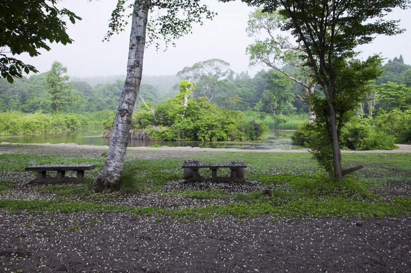 无人,横图,室外,白天,仰视,旅游,度假,河流,美景,树林,水,植物,道路,路,椅子,日本,亚洲,许多,躺椅,河水,景观,水流,小路,交通,娱乐,树,树木,蓝色,绿色,蓝天,天空,自然,天,享受,休闲,石椅,景色,放松,乡间小路,生长,晴朗,成长,自然风光,东亚,本州,万里无云,本州岛,日本国,中部地方,新潟,新潟县,晴空,晴空万里,彩图,低角度拍摄