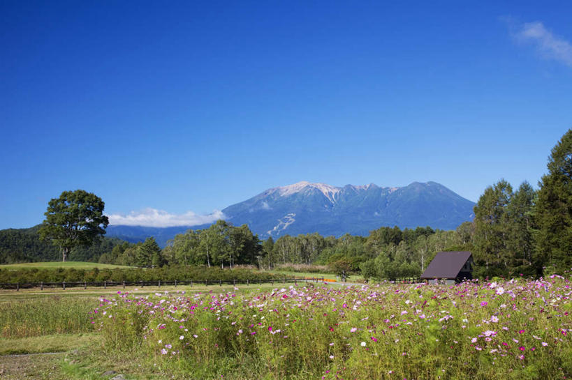 无人,家,横图,室外,白天,正面,旅游,度假,花海,花圃,美景,山,树林,植物,雾,叶子,富山县,日本,亚洲,许多,朦胧,模糊,盛开,房屋,屋子,景观,山峰,绿叶,山峦,花蕾,娱乐,楼房,住宅,花,花瓣,花朵,花卉,鲜花,树,树木,蓝色,绿色,蓝天,天空,自然,花丛,花田,天,花苞,花蕊,享受,休闲,嫩叶,景色,放松,生长,晴朗,成长,迷雾,自然风光,东亚,紫云英,红花草,本州,万里无云,本州岛,日本国,中部地方,翘摇,富山,叶,叶片,大雾,晴空,晴空万里,彩图,房子