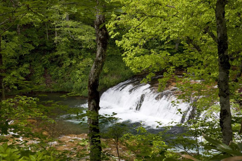 无人,横图,俯视,室外,白天,旅游,度假,河流,美景,山,树林,水,植物,富山县,日本,亚洲,许多,河水,景观,山峰,水流,山峦,娱乐,树,树木,绿色,小溪,自然,溪水,享受,休闲,景色,放松,生长,成长,自然风光,东亚,本州,本州岛,日本国,中部地方,富山,彩图,高角度拍摄