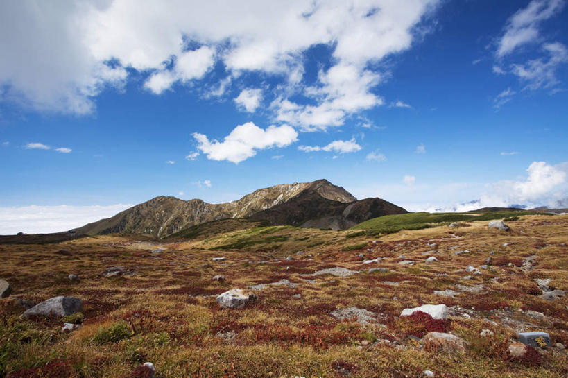 无人,横图,室外,白天,正面,旅游,度假,石头,美景,山,树林,植物,许多,枯萎,石子,景观,山峰,云,云朵,枯草,山峦,云彩,娱乐,草,树,树木,黄色,蓝色,绿色,白云,蓝天,天空,自然,天,享受,休闲,景色,放松,生长,晴朗,成长,自然风光,石块,岩石,晴空,彩图