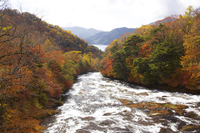 无人,横图,室外,白天,正面,旅游,度假,河流,美景,秋季,树林,水,植物,富山县,日本,亚洲,许多,河水,景观,水流,娱乐,树,树木,蓝色,绿色,蓝天,天空,自然,天,享受,休闲,景色,放松,生长,晴朗,成长,自然风光,东亚,本州,万里无云,本州岛,日本国,中部地方,富山,晴空,晴空万里,秋,秋天,彩图
