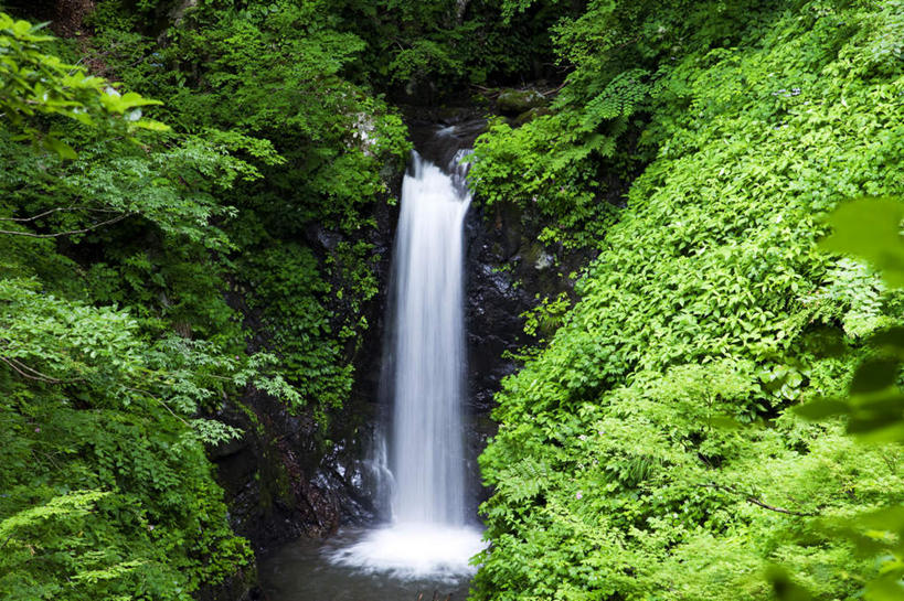 无人,横图,室外,白天,正面,旅游,度假,河流,石头,美景,瀑布,树林,水,植物,长野县,日本,亚洲,许多,飞溅,溅,石子,液体,河水,景观,水滴,水流,娱乐,水珠,树,树木,绿色,小溪,自然,溪水,享受,休闲,景色,放松,生长,成长,喷洒,自然风光,东亚,本州,本州岛,日本国,中部地方,长野,跌水,石块,岩石,彩图