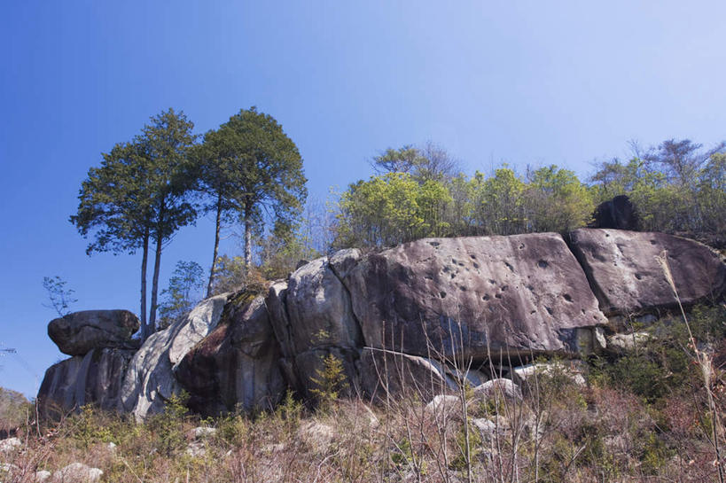 无人,横图,室外,白天,仰视,旅游,度假,石头,美景,树林,植物,日本,亚洲,许多,枯萎,石子,景观,枯草,娱乐,草,树,树木,黄色,蓝色,绿色,蓝天,天空,自然,天,享受,休闲,景色,放松,生长,晴朗,成长,自然风光,东亚,本州,万里无云,本州岛,日本国,中部地方,岐阜,岐阜县,石块,岩石,晴空,晴空万里,彩图,低角度拍摄