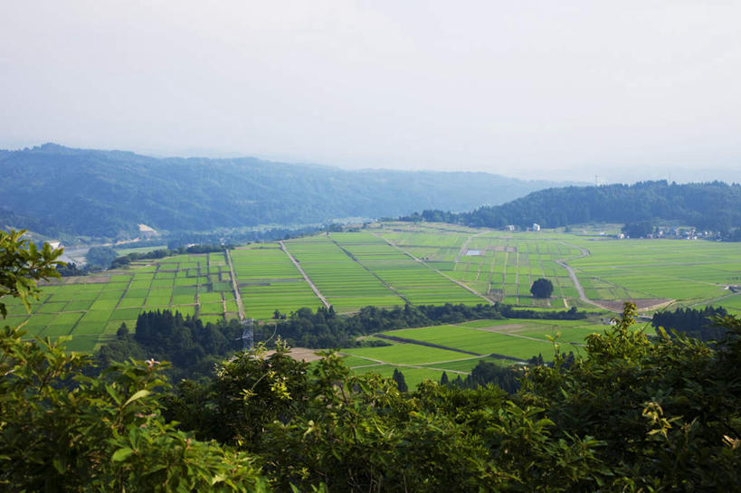 无人,家,农田,横图,俯视,航拍,室外,白天,旅游,度假,农业,庄稼,农作物,美景,山,山脉,树林,植物,日本,亚洲,许多,朦胧,模糊,房屋,屋子,稻田,景观,山峰,山峦,娱乐,楼房,住宅,树,树木,蓝色,绿色,蓝天,天空,自然,群山,天,享受,休闲,景色,放松,生长,晴朗,成长,鸟瞰,自然风光,东亚,本州,万里无云,本州岛,日本国,中部地方,新潟,新潟县,晴空,晴空万里,彩图,高角度拍摄,耕地,庄稼田,房子