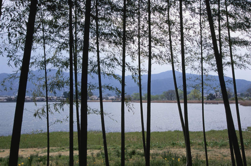 无人,横图,室外,白天,正面,旅游,度假,河流,美景,山,山脉,树林,水,植物,道路,路,京都,日本,亚洲,许多,盛开,河水,景观,泥土,山峰,水流,小路,野花,交通,山峦,花蕾,娱乐,花,花瓣,花朵,鲜花,树,树木,黄色,蓝色,绿色,蓝天,天空,自然,群山,天,花苞,花蕊,享受,休闲,景色,放松,京都府,生长,晴朗,成长,自然风光,东亚,本州,万里无云,本州岛,日本国,近畿地方,近畿,晴空,晴空万里,彩图