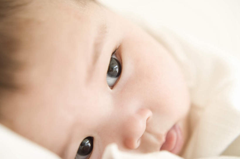 东方人,婴儿,儿童,脸,头,脸颊,一个人,坐,横图,室内,特写,白天,白色背景,正面,纯洁,亚洲,仅一个人,服装,朦胧,模糊,注视,休闲装,黄种人,小孩,衣服,观察,看,休闲,休闲服,可爱,摄影,服饰,活泼,影棚,观看,察看,关注,宝宝,纯真,烂漫,无邪,伶俐,天真,亚洲人,孩子,头部,脸部,脸蛋,面部,坐着,半身,彩图,影棚拍摄,拍摄