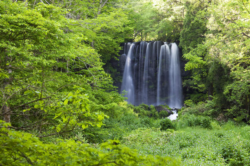无人,横图,室外,白天,仰视,旅游,度假,美景,瀑布,山,树林,水,植物,长野县,日本,亚洲,许多,阴影,飞溅,朦胧,模糊,溅,光线,液体,影子,景观,山峰,水滴,悬崖,山峦,娱乐,水珠,树,树木,绿色,阳光,自然,享受,休闲,景色,放松,生长,成长,喷洒,自然风光,东亚,本州,本州岛,日本国,中部地方,长野,绝壁,跌水,彩图,低角度拍摄