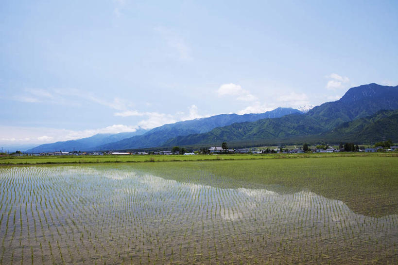 无人,家,农田,横图,室外,白天,仰视,旅游,度假,农业,庄稼,农作物,美景,山,山脉,树林,雪,植物,大雪,长野县,日本,亚洲,许多,阴影,光线,影子,房屋,屋子,稻田,积雪,景观,山峰,雪景,云,云朵,冬季,冬天,山峦,云彩,娱乐,楼房,住宅,树,树木,蓝色,绿色,白云,蓝天,天空,阳光,自然,群山,天,享受,休闲,景色,放松,寒冷,生长,晴朗,成长,自然风光,东亚,本州,本州岛,日本国,中部地方,长野,严寒,晴空,彩图,低角度拍摄,耕地,庄稼田,房子