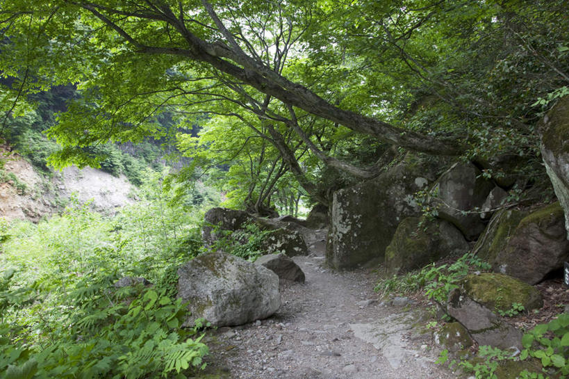 无人,横图,俯视,室外,白天,旅游,度假,草地,石头,美景,树林,植物,道路,路,日本,亚洲,许多,石子,景观,小路,交通,娱乐,草,树,树木,蓝色,绿色,蓝天,天空,自然,天,享受,休闲,景色,放松,乡间小路,生长,晴朗,成长,自然风光,东亚,本州,万里无云,本州岛,日本国,中部地方,新潟,新潟县,石块,晴空,晴空万里,彩图,高角度拍摄