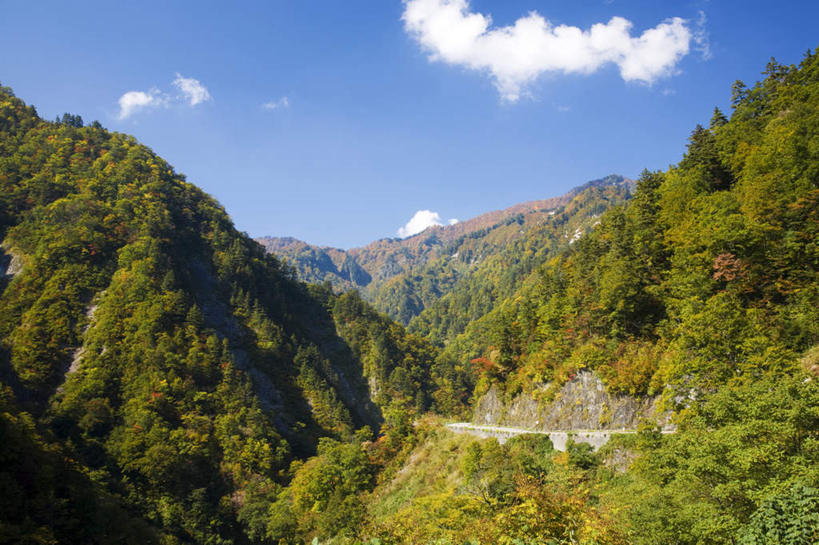 无人,横图,俯视,航拍,室外,白天,旅游,度假,美景,山,山脉,树林,植物,道路,路,日本,亚洲,许多,景观,山峰,云,云朵,小路,交通,山峦,云彩,娱乐,树,树木,蓝色,绿色,白云,蓝天,天空,自然,群山,天,享受,休闲,景色,放松,生长,晴朗,成长,鸟瞰,自然风光,东亚,本州,本州岛,日本国,石川,石川县,中部地方,晴空,彩图,高角度拍摄