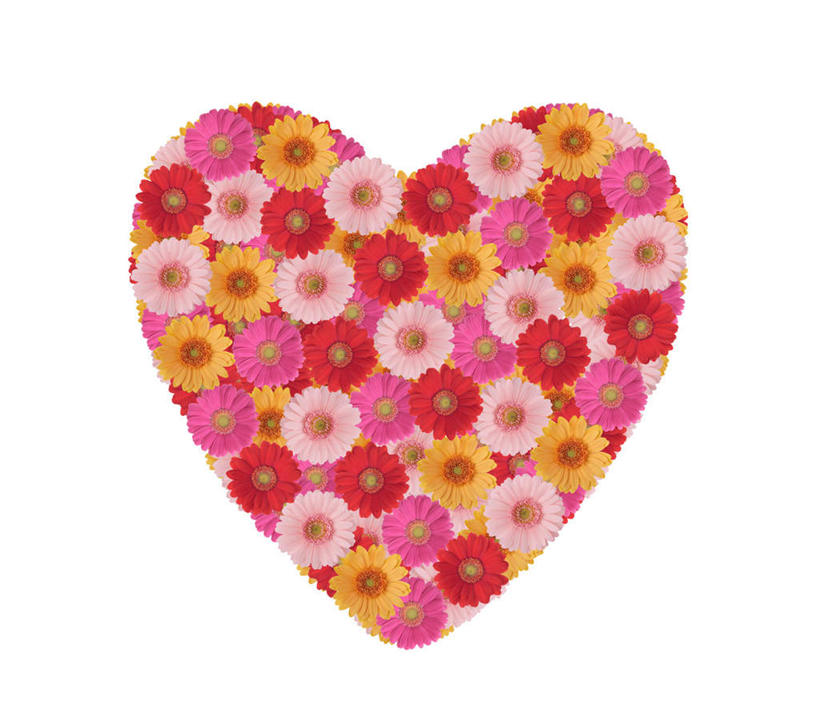 无人,横图,室内,特写,白天,白色背景,正面,爱情,快乐,幸福,数码,科技,许多,阴影,爱心,盛开,网络,玛格丽特,高光,几何,计算机图形,浪漫,合成,花蕾,雏菊,花,花瓣,花朵,鲜花,粉色,黄色,红色,花苞,花蕊,温暖,温馨,心形,菊花,恩爱,活力,希望,电脑合成图,数码合成图,和睦,坚强,和平,离别,写实,具体,具象,延命菊,幸福花,春菊,马兰头花,暗恋,纯情,单恋,天真,心型,彩图,愉快,融洽