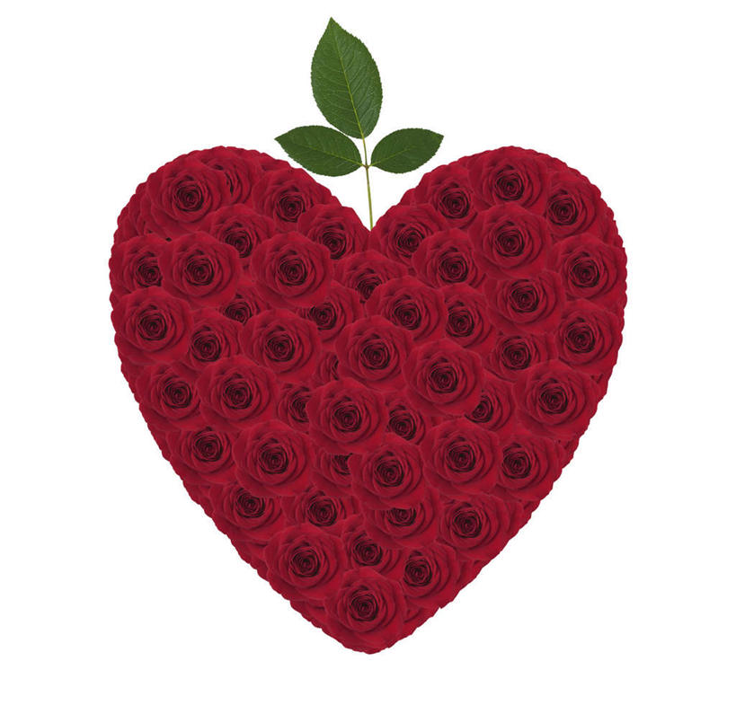 无人,横图,室内,特写,白天,白色背景,正面,爱情,幸福,纯洁,热情,数码,科技,玫瑰,叶子,许多,阴影,爱心,盛开,网络,绿叶,玫瑰花,三片,高光,几何,计算机图形,浪漫,合成,花蕾,花,花瓣,花朵,鲜花,红色,花苞,花蕊,温暖,温馨,心形,嫩叶,恩爱,电脑合成图,数码合成图,和睦,感动,写实,具体,具象,尊敬,天真,刺玫花,徘徊花,心型,叶,叶片,彩图,融洽