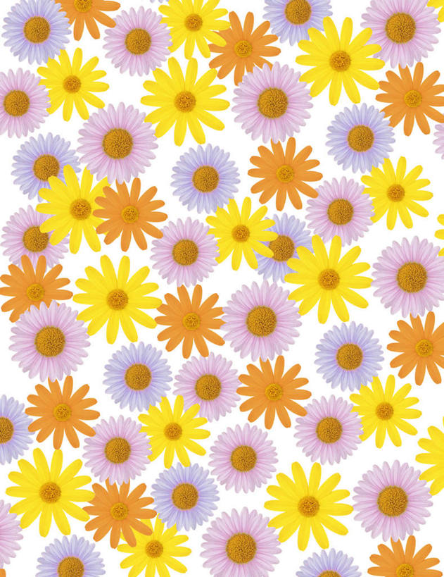 无人,竖图,室内,特写,白天,白色背景,正面,爱情,数码,科技,一排,许多,阴影,整齐,盛开,网络,茼蒿菊,高光,几何,计算机图形,合成,花蕾,花,花瓣,花朵,鲜花,排列,黄色,紫色,花苞,花蕊,菊花,吉祥,电脑合成图,数码合成图,队列,写实,具体,具象,高洁,长寿,蓬蒿菊,怀恋,清净,真情,寿客,秋菊,木春菊,木茼蒿,彩图