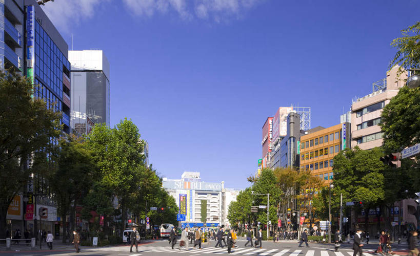 东方人,高楼大厦,走,横图,室外,白天,正面,度假,美景,植物,城市风光,城市,大厦,道路,建筑,路,摩天大楼,公路,汽车,东京,日本,亚洲,许多,阴影,服装,光线,影子,景观,建筑群,交通,许多人,休闲装,黄种人,娱乐,建设,车,树,树木,衣服,蓝色,绿色,蓝天,天空,阳光,自然,交通工具,轿车,天,一群人,享受,休闲,休闲服,景色,放松,服饰,生长,晴朗,成长,载具,东亚,本州,万里无云,关东地方,本州岛,日本国,东京都,池袋,繁荣,丰岛区,男人,男性,年轻男性,年轻女性,女人,女性,亚洲人,晴空,晴空万里,马路,步行,散步,走路,彩图,全身,大楼,高层建筑,高楼,摩天楼