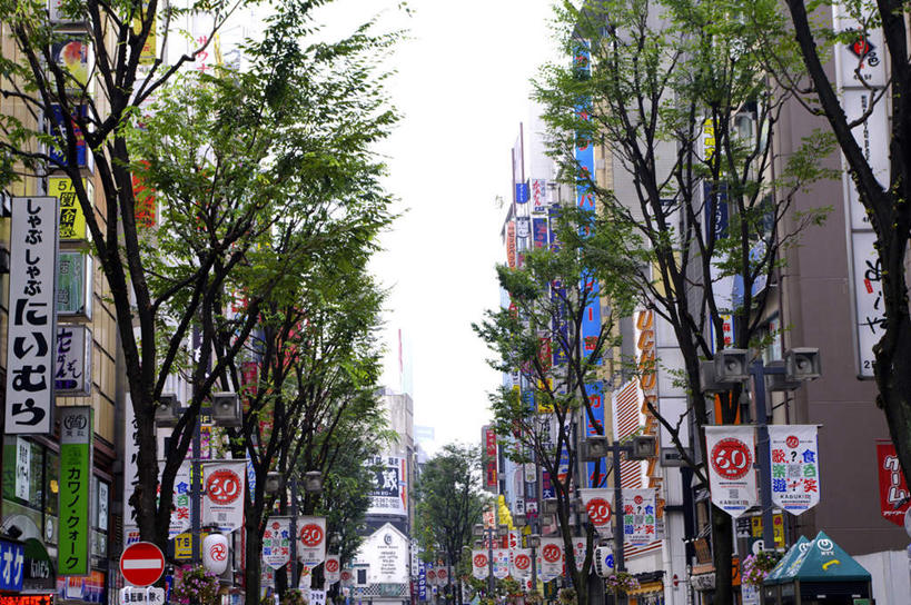 无人,高楼大厦,横图,室外,白天,正面,度假,美景,植物,城市风光,城市,大厦,建筑,路灯,摩天大楼,照明,东京,日本,一排,许多,悬挂,整齐,挂牌,景观,建筑群,灯光,新宿,娱乐,建设,灯,树,树木,排列,蓝色,绿色,蓝天,天空,自然,天,享受,休闲,景色,放松,生长,晴朗,成长,照亮,照明设备,队列,东亚,本州,万里无云,关东地方,本州岛,日本国,东京都,新宿区,县厅,东京市,晴空,晴空万里,彩图,大楼,高层建筑,高楼,摩天楼