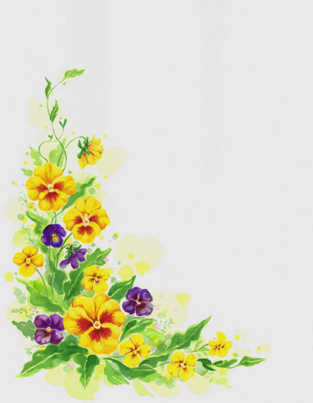 无人,竖图,插画,室内,特写,白天,白色背景,正面,幸福,数码,科技,花海,花圃,植物,紫罗兰,叶子,许多,阴影,盛开,网络,高光,几何,计算机图形,清凉,合成,花蕾,图画,画,花,花瓣,花朵,花卉,鲜花,黄色,红色,绿色,紫色,花丛,花束,花田,夏天,花苞,花蕊,电脑合成图,数码合成图,漫画,写实,具体,具象,永恒,质朴,美德,草紫罗兰,草桂花,彩图