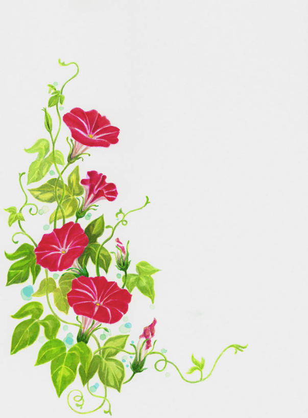 无人,竖图,插画,室内,特写,白天,白色背景,正面,爱情,数码,科技,花海,花圃,植物,喇叭花,叶子,许多,阴影,盛开,网络,长春藤,常春藤,高光,几何,计算机图形,合成,花蕾,图画,画,花,花瓣,花朵,花卉,鲜花,红色,绿色,花丛,花束,花田,花苞,花蕊,虚幻,电脑合成图,数码合成图,漫画,写实,具体,具象,永恒,牵牛,牵牛子,勤娘子,碧冬茄,朝颜花,灵芝牡丹,不朽,忠实,洋常春藤,冷静,牵牛花,彩图,常青藤